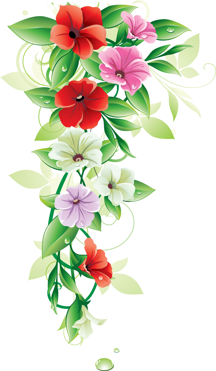 Flowers Png