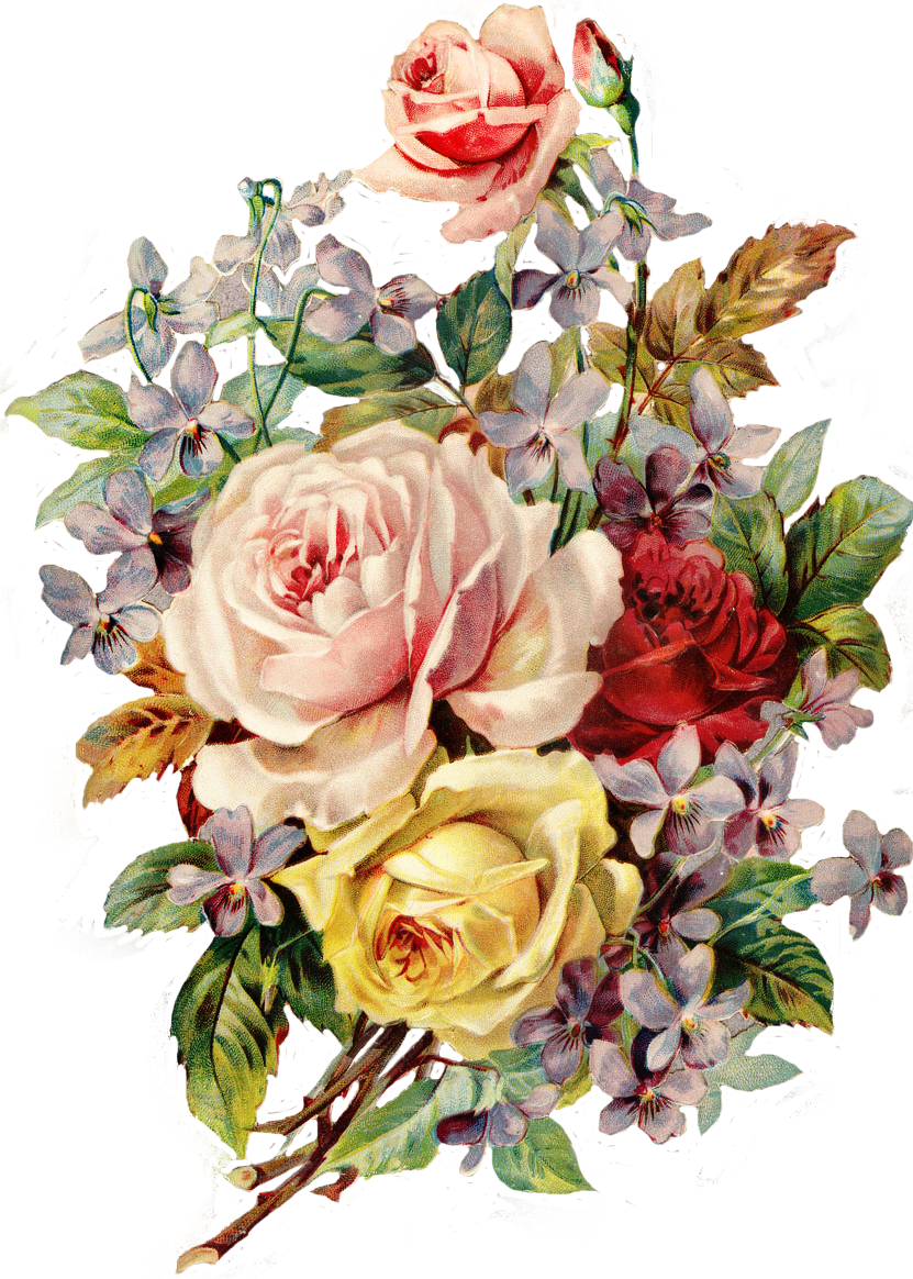 Flowers Png