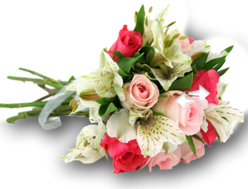Flowers Png