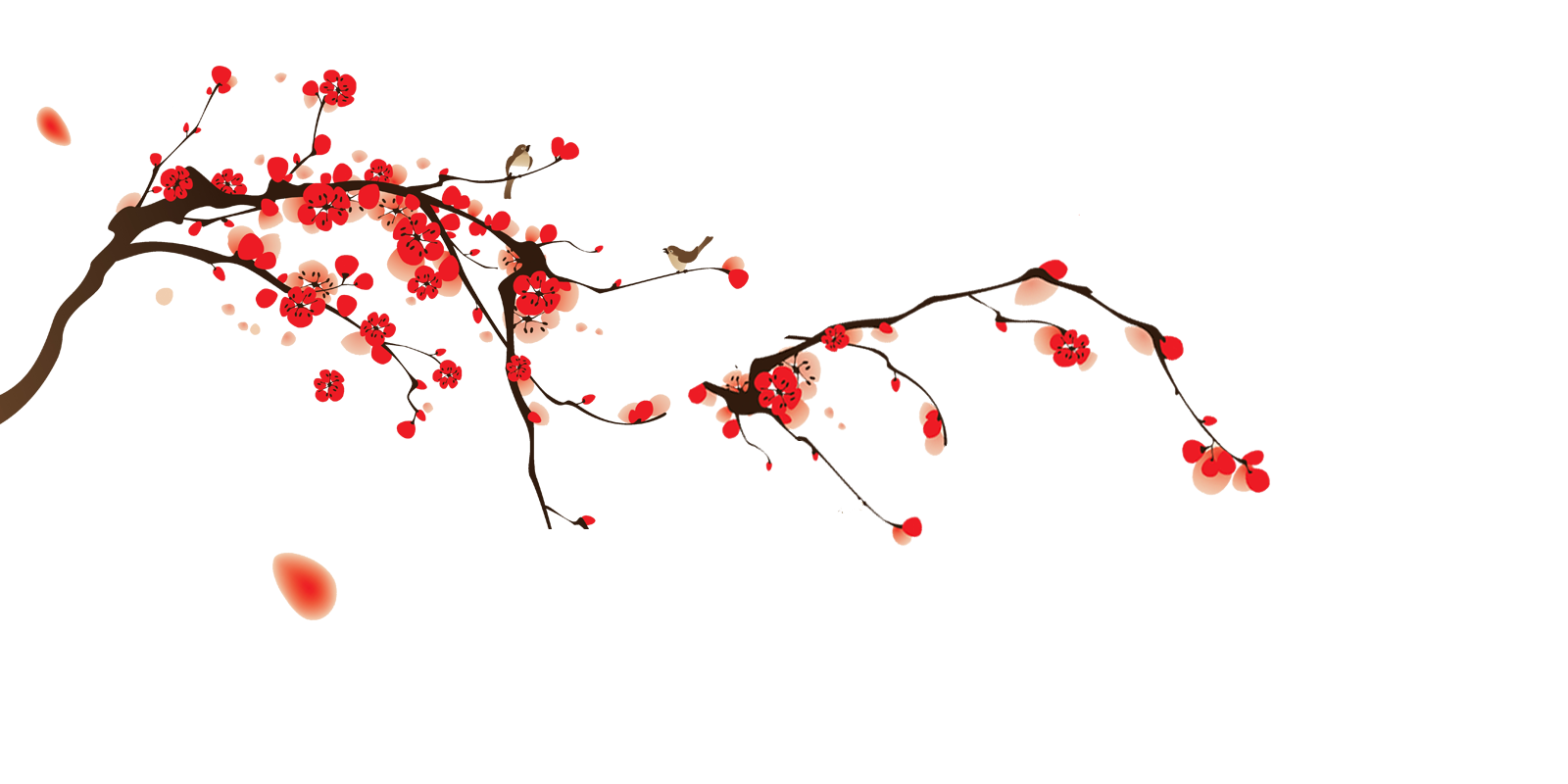 Flowers Png