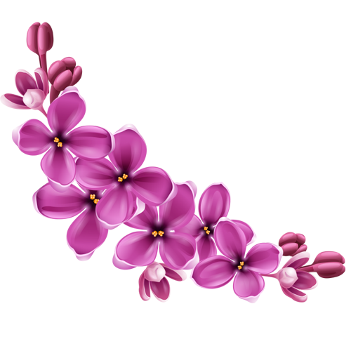 Flowers Png