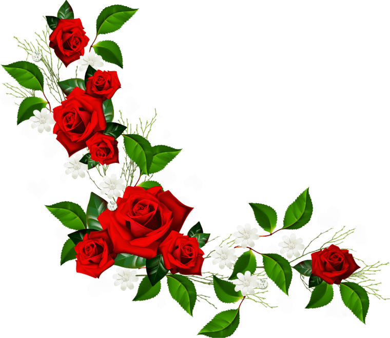 Flowers Png