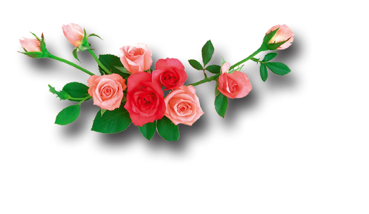 Flowers Png