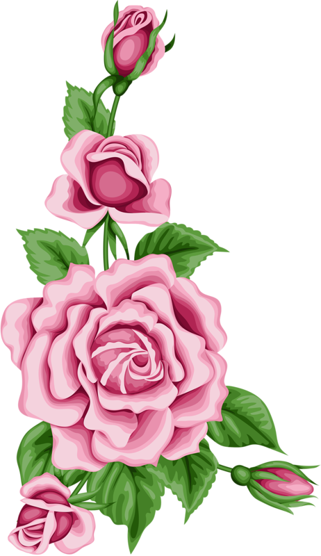 Flowers Png